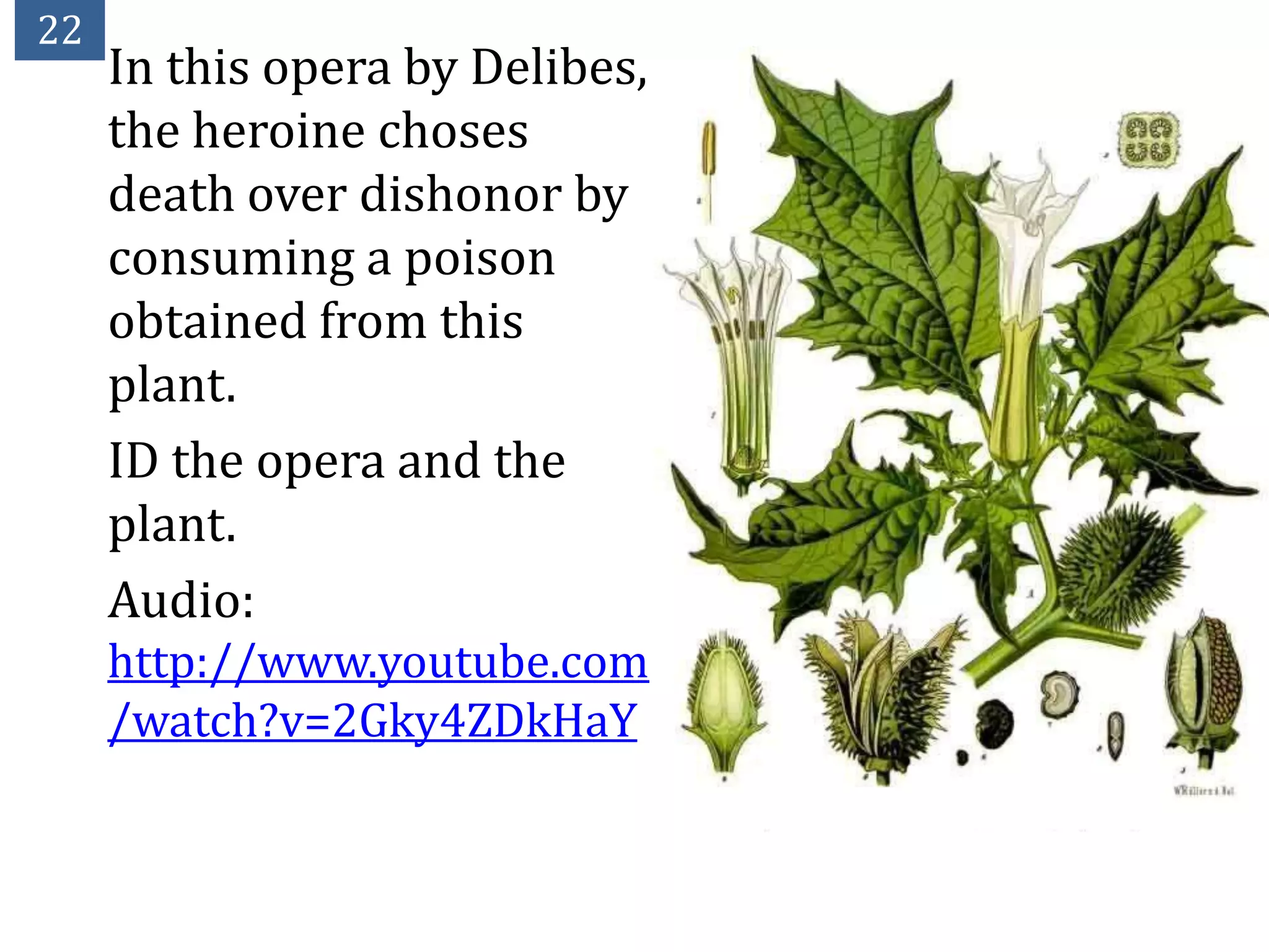 22
     In this opera by Delibes,
     the heroine choses
     death over dishonor by
     consuming a poison
     obtained from this
     plant.
     ID the opera and the
     plant.
     Audio:
     http://www.youtube.com
     /watch?v=2Gky4ZDkHaY
 