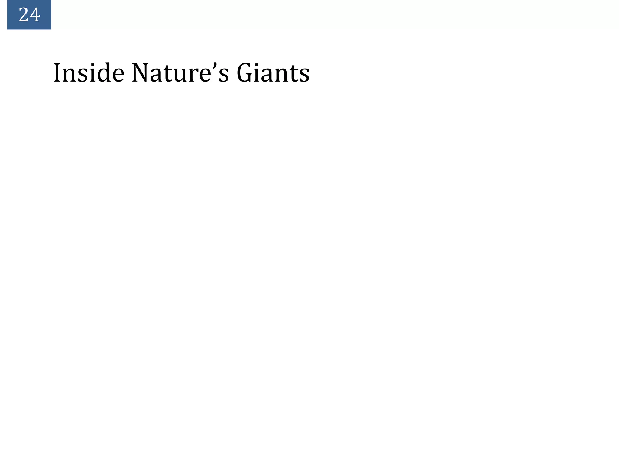 24

     Inside Nature’s Giants
 