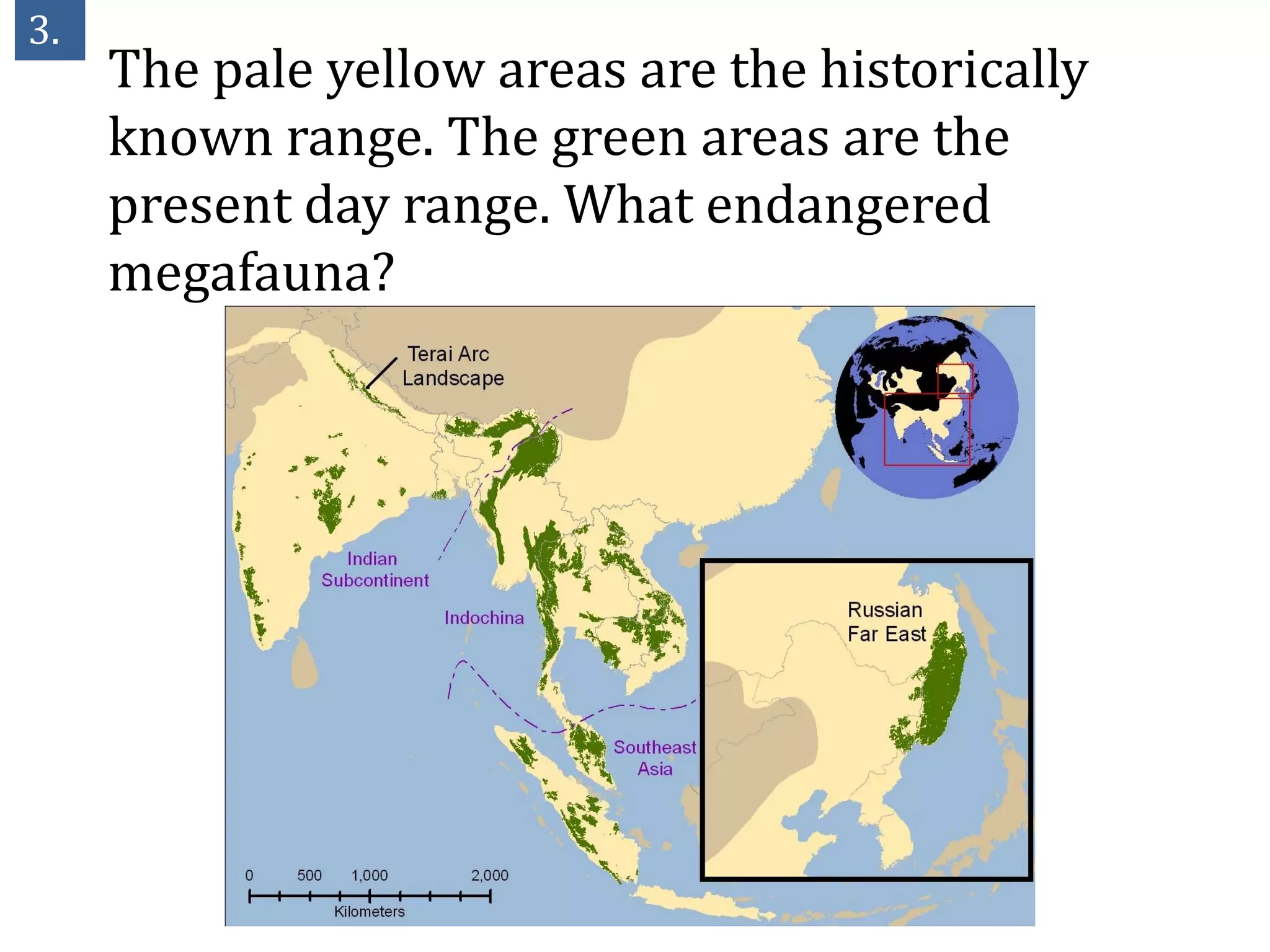 3.
     The pale yellow areas are the historically
     known range. The green areas are the
     present day range. What endangered
     megafauna?
 