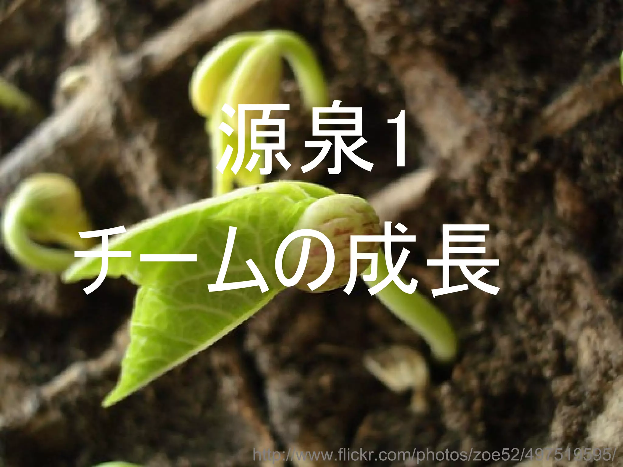 源泉1
チームの成長

  http://www.flickr.com/photos/zoe52/497519595/
 