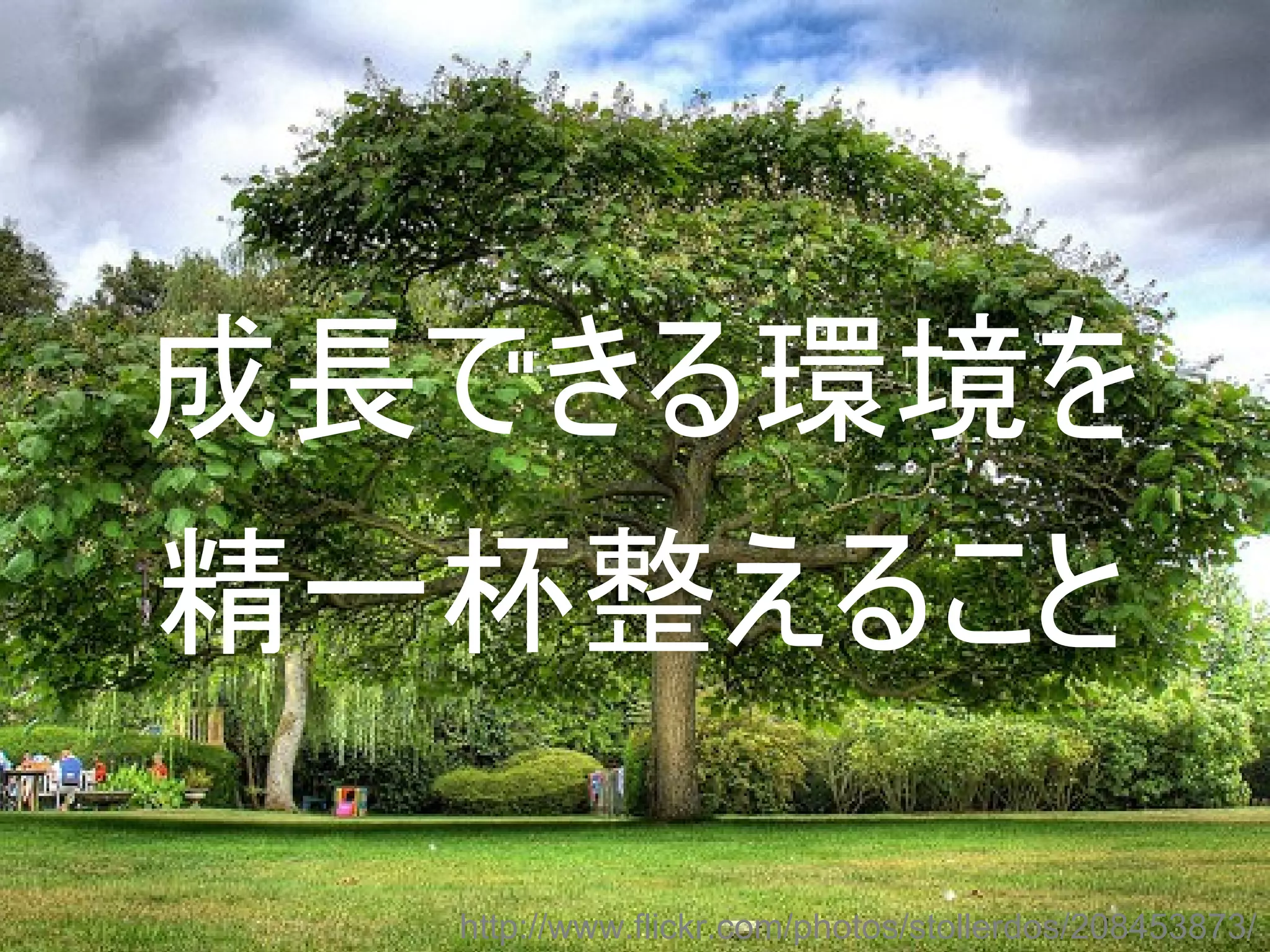 成長できる環境を
精一杯整えること

  http://www.flickr.com/photos/stollerdos/208453873/
 