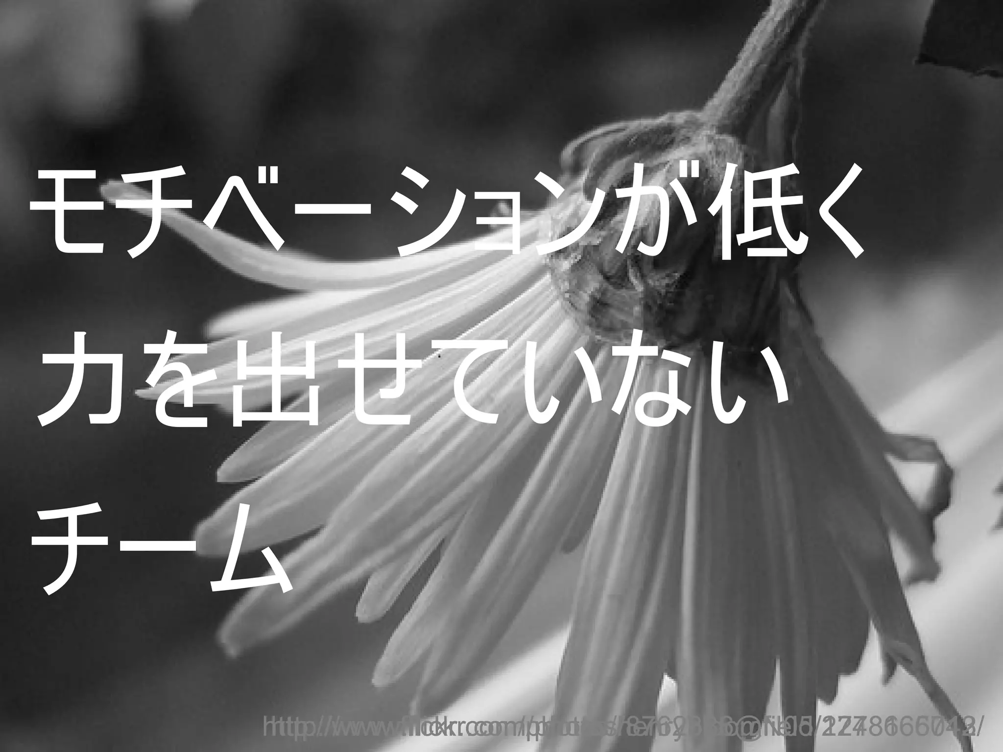 モチベーションが低く
力を出せていない
チーム
  http://www.flickr.com/photos/henrybloomfield/2778666742/
   http://www.flickr.com/photos/8762386@N05/1248165013/
 