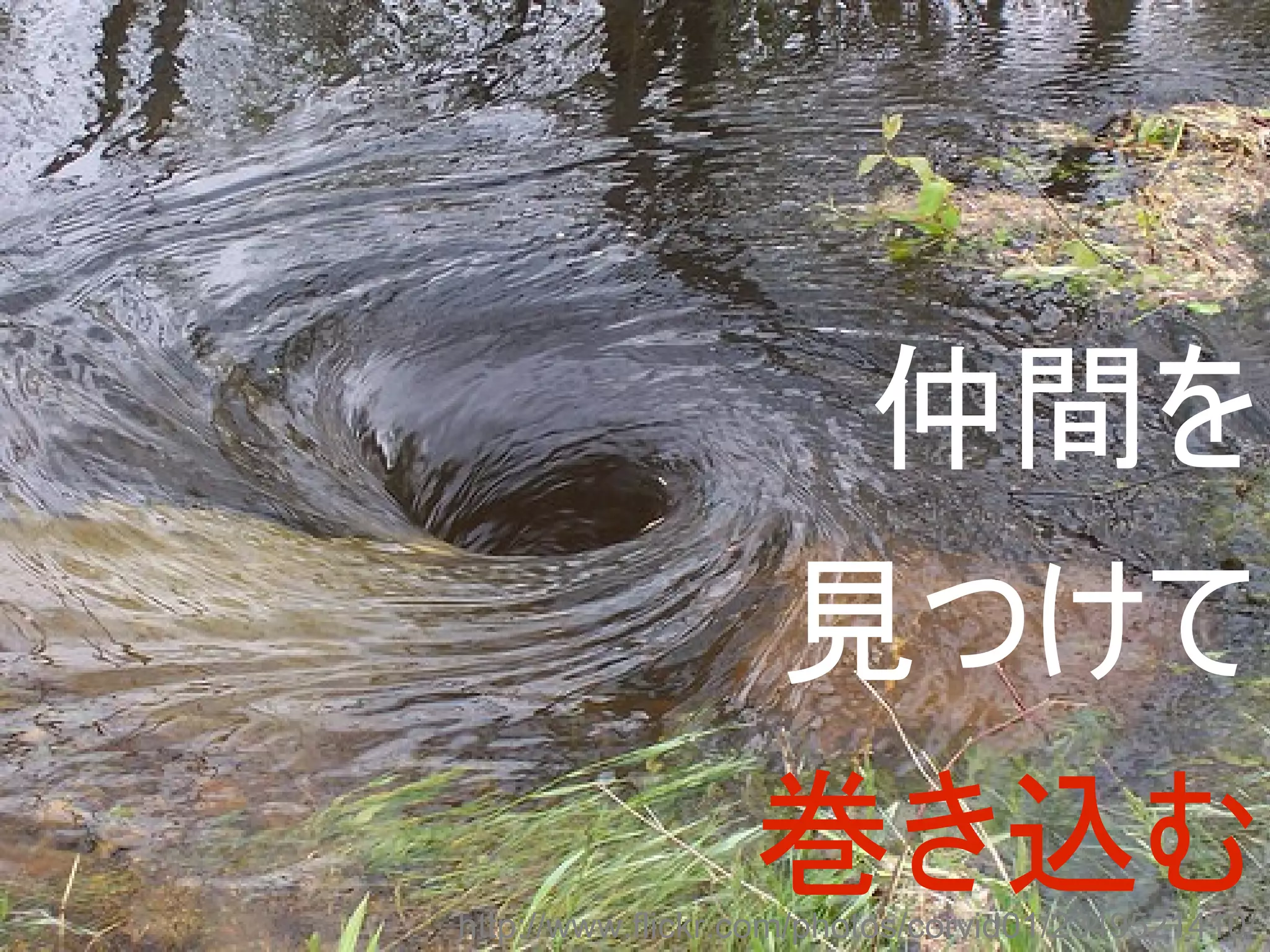 仲間を
                   見つけて
                  巻き込む
http://www.flickr.com/photos/corvid01/2349521410/
 