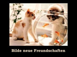 Bilde neue Freundschaften 
