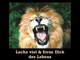 Lache viel & freue Dich des Lebens 