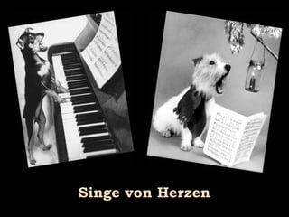 Singe von Herzen 
