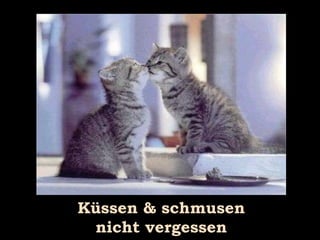 Küssen & schmusen nicht vergessen 