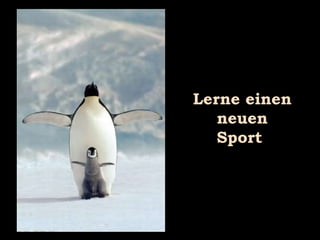 Lerne einen neuen Sport  