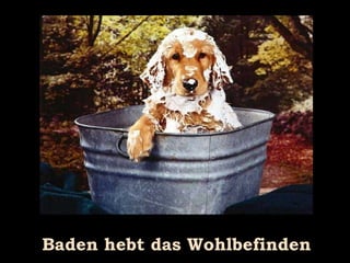 Baden hebt das Wohlbefinden 