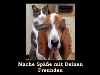 Mache Späße mit Deinen Freunden 