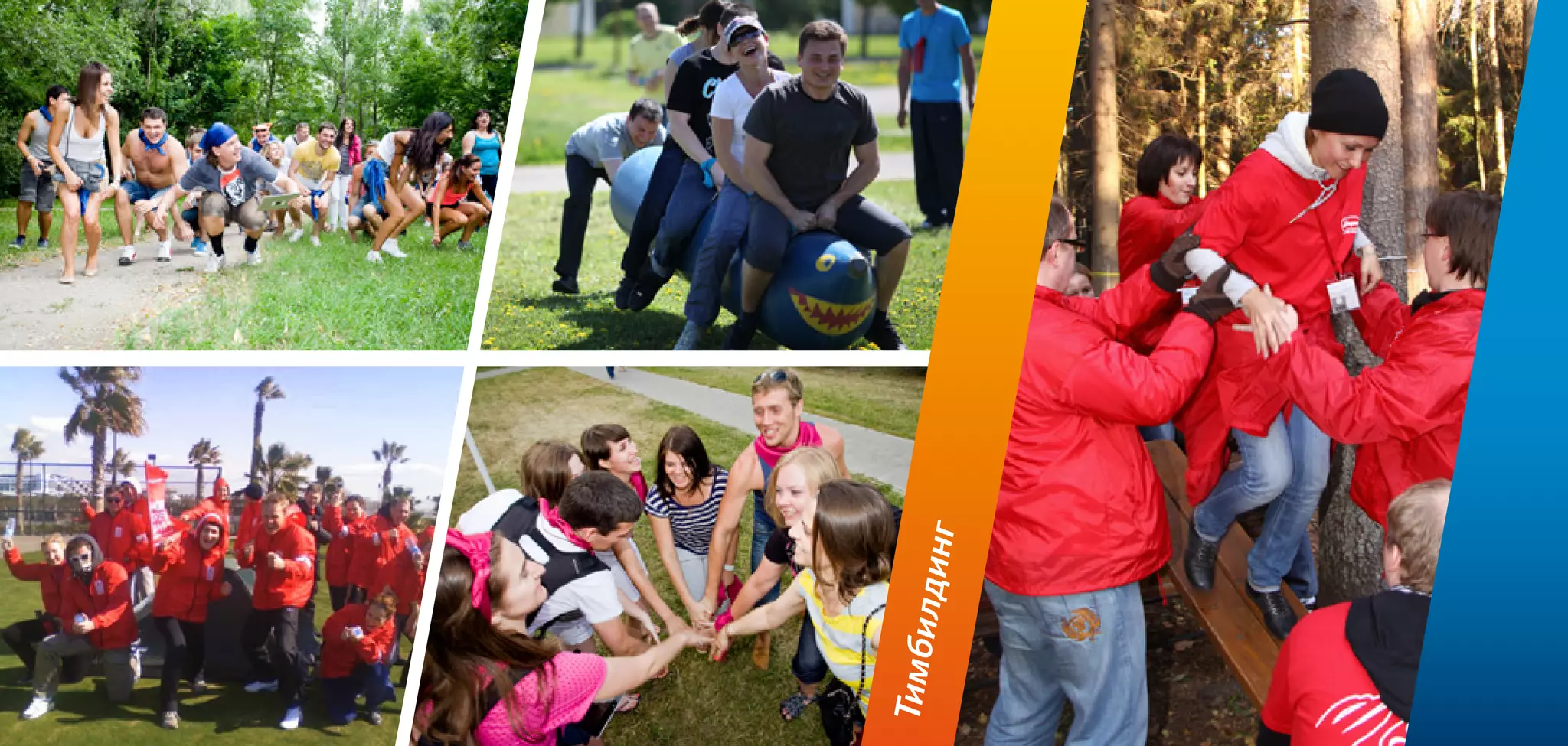 10
Тимбилдинг
 