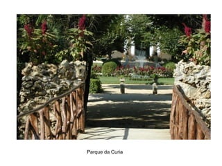 Parque da Curia
 