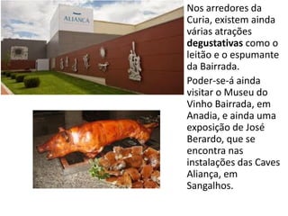 Nos arredores da
Curia, existem ainda
várias atrações
degustativas como o
leitão e o espumante
da Bairrada.
Poder-se-á ainda
visitar o Museu do
Vinho Bairrada, em
Anadia, e ainda uma
exposição de José
Berardo, que se
encontra nas
instalações das Caves
Aliança, em
Sangalhos.
 