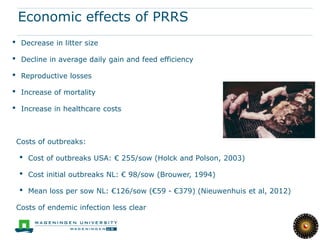 Economic effects of PRRS
•    Decrease in litter size

•    Decline in average daily gain and feed efficiency

•    Reproductive losses

•    Increase of mortality

•    Increase in healthcare costs



    Costs of outbreaks:

    •   Cost of outbreaks USA: € 255/sow (Holck and Polson, 2003)

    •   Cost initial outbreaks NL: € 98/sow (Brouwer, 1994)

    •   Mean loss per sow NL: €126/sow (€59 - €379) (Nieuwenhuis et al, 2012)

    Costs of endemic infection less clear
 