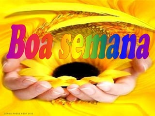 CURSO PASSE KSSF 2013
 