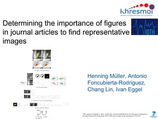 Determining the importance of figures
in journal articles to find representative
images



                            Henning Müller, Antonio
                            Foncubierta-Rodriguez,
                            Chang Lin, Ivan Eggel
 