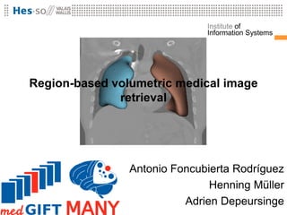 Institute of
                              Information Systems




Region-based volumetric medical image
              retrieval




                Antonio Foncubierta Rodríguez
                               Henning Müller
                          Adrien Depeursinge
 
