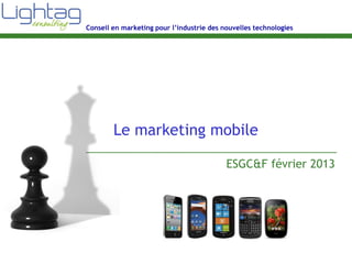 Conseil en marketing pour l’industrie des nouvelles technologies
Le marketing mobile
ESGC&F février 2013
 