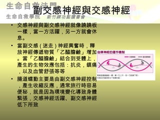 生命自救法門
     副交感神經與交感神經
生命自救學院 新竹練功點讀書會
• 交感神經與副交感神經就像蹺蹺板
  一樣，當一方活躍，另一方就會休
  息。
• 當副交感 ( 迷走 ) 神經興奮時，釋
  放神經傳遞物質「乙醯膽鹼」增加
  。當「乙醯膽鹼」結合到受體上，
  產生的生物效應包括：抗炎，鎮痛
  ，以及血管舒張等等
• 腸道蠕動主要是由副交感神經控制
  ，產生收縮反應，通常旅行時容易
  便秘，就是因為環境變化導致身體
  緊張，交感神經活躍、副交感神經
  低下所致
 
