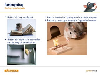 Rattengedrag                                                                       5
Een kort lesje biologie



 Ratten zijn erg intelligent          Ratten passen hun gedrag aan hun omgeving aan
                                       Ratten kunnen op commando ‘s getraind worden




 Ratten zijn experts in het vinden
   van de weg uit een doolhof
 