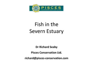 Fish in the
Severn Estuary
Dr Richard Seaby
Pisces Conservation Ltd.
richard@pisces-conservation.com

 