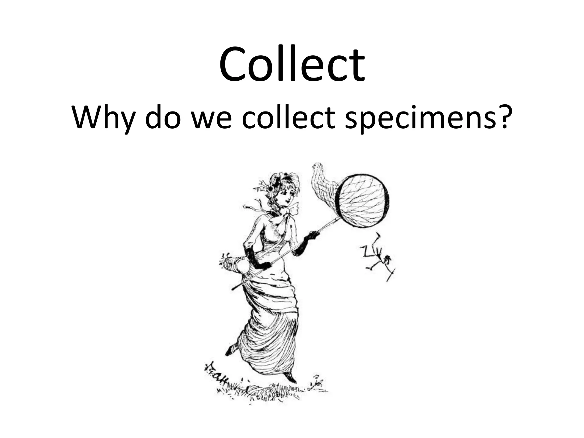 Collect
Why do we collect specimens?
 
