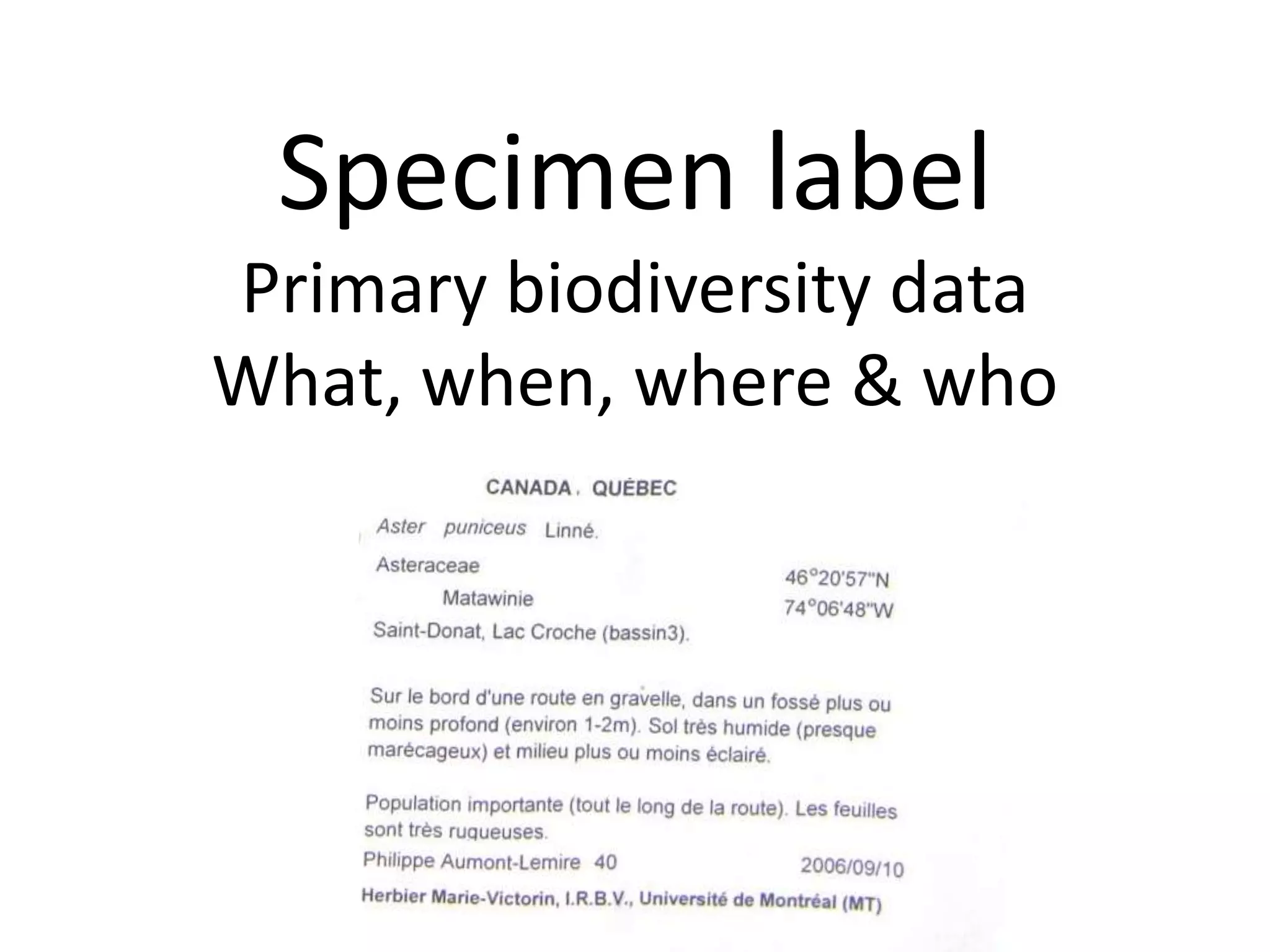 Specimen label
Primary biodiversity data
What, when, where & who
 