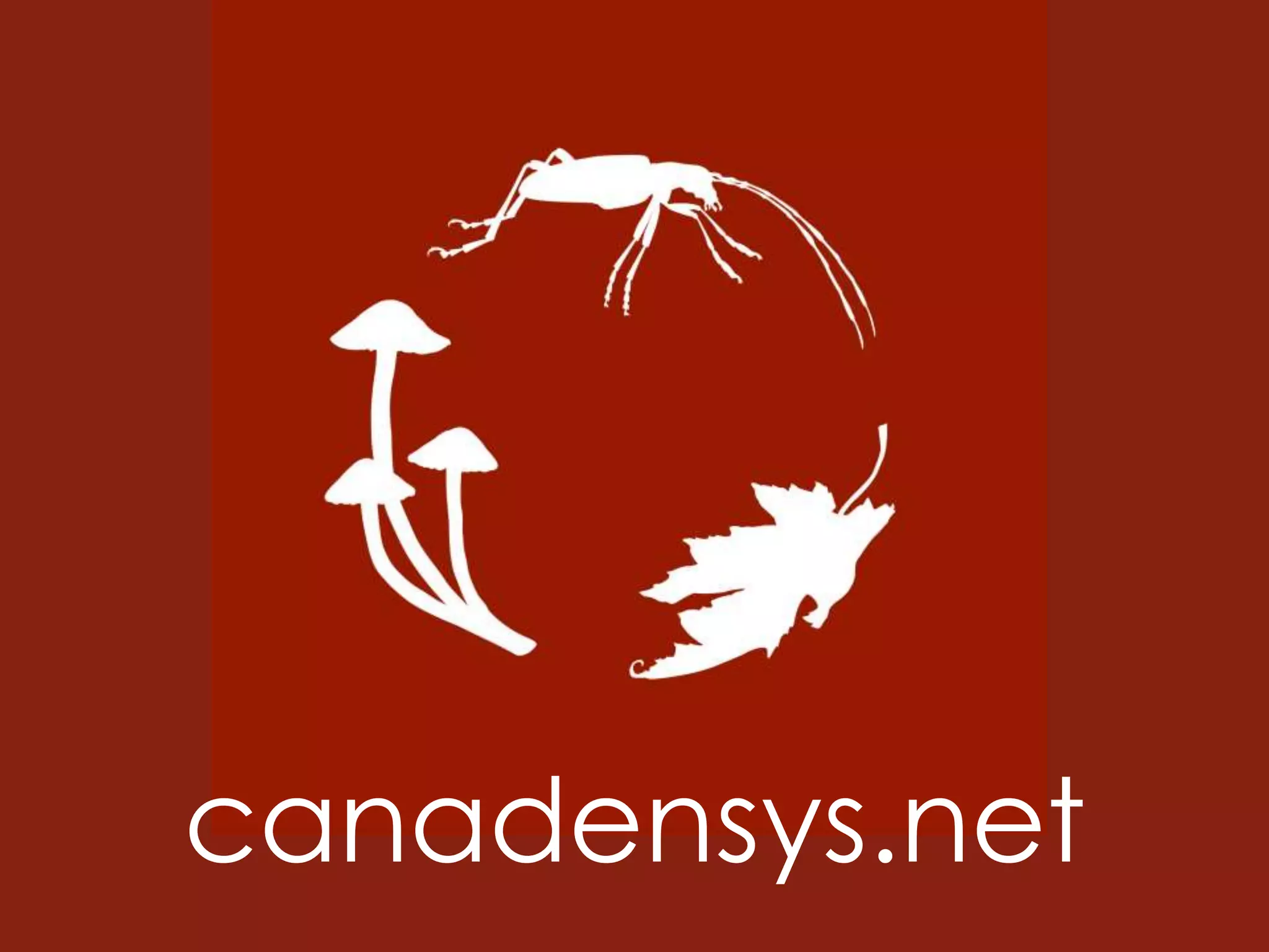 canadensys.net
 