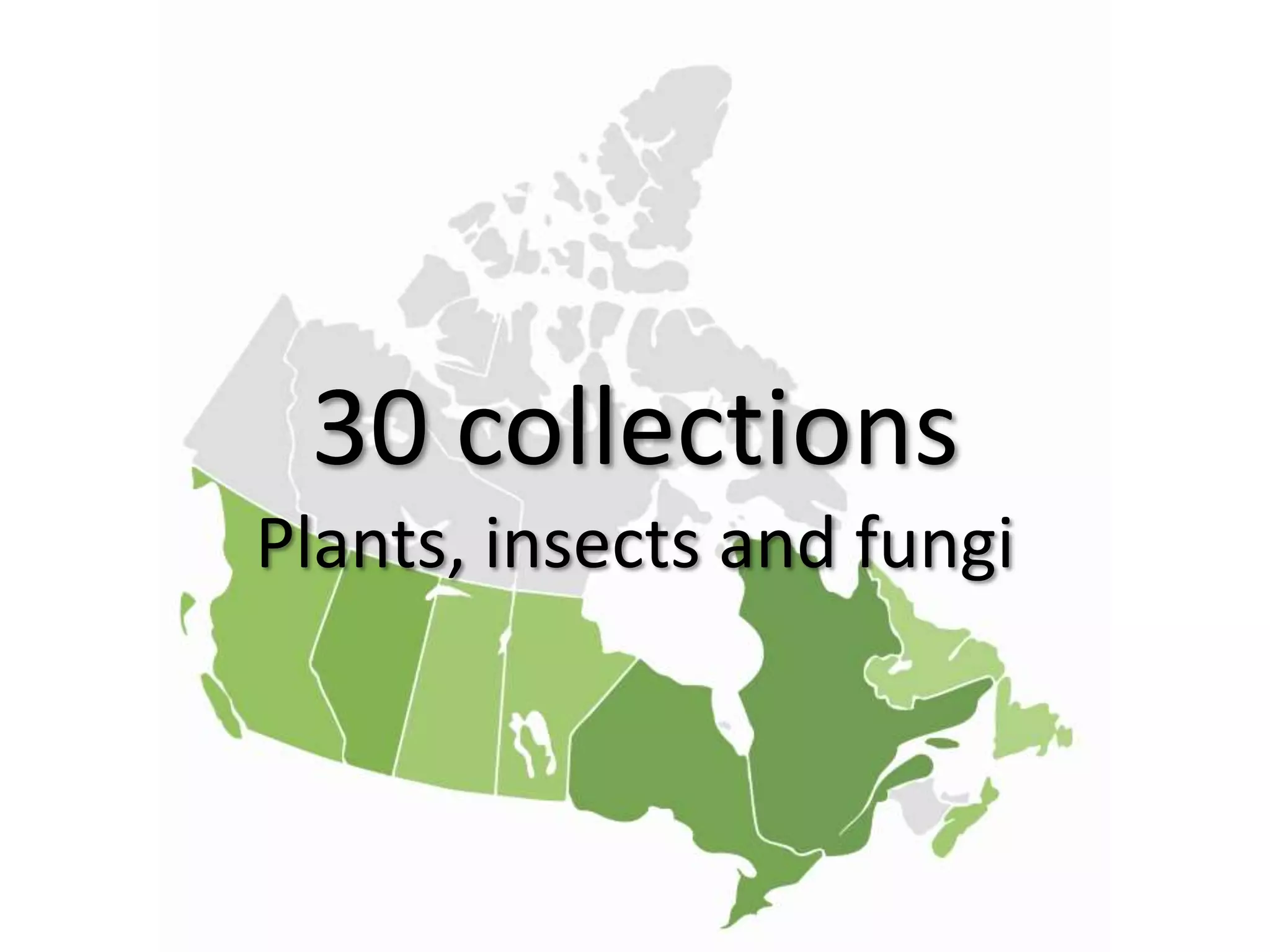 30 collections
Plants, insects and fungi
 