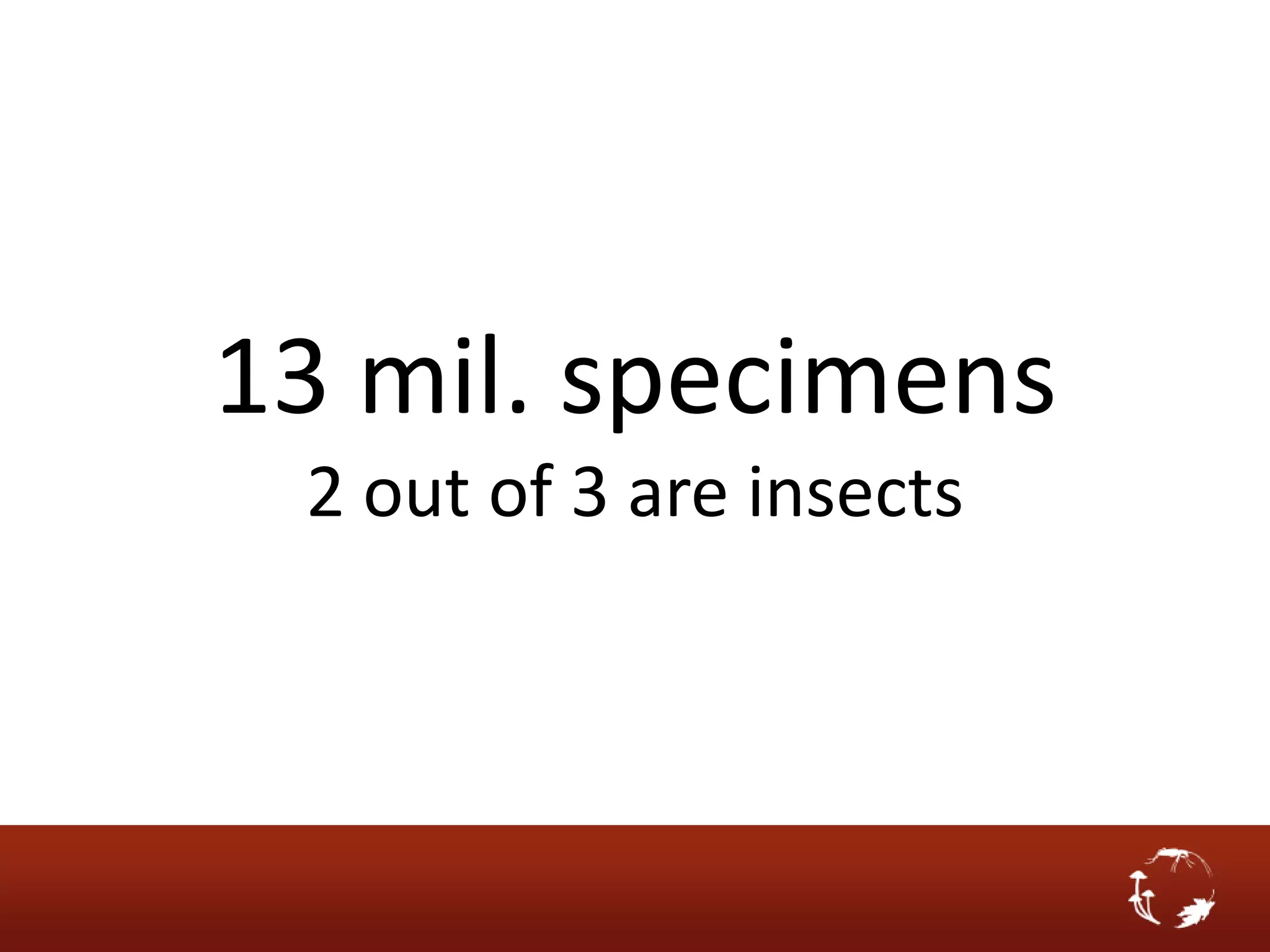 13 mil. specimens
 2 out of 3 are insects
 