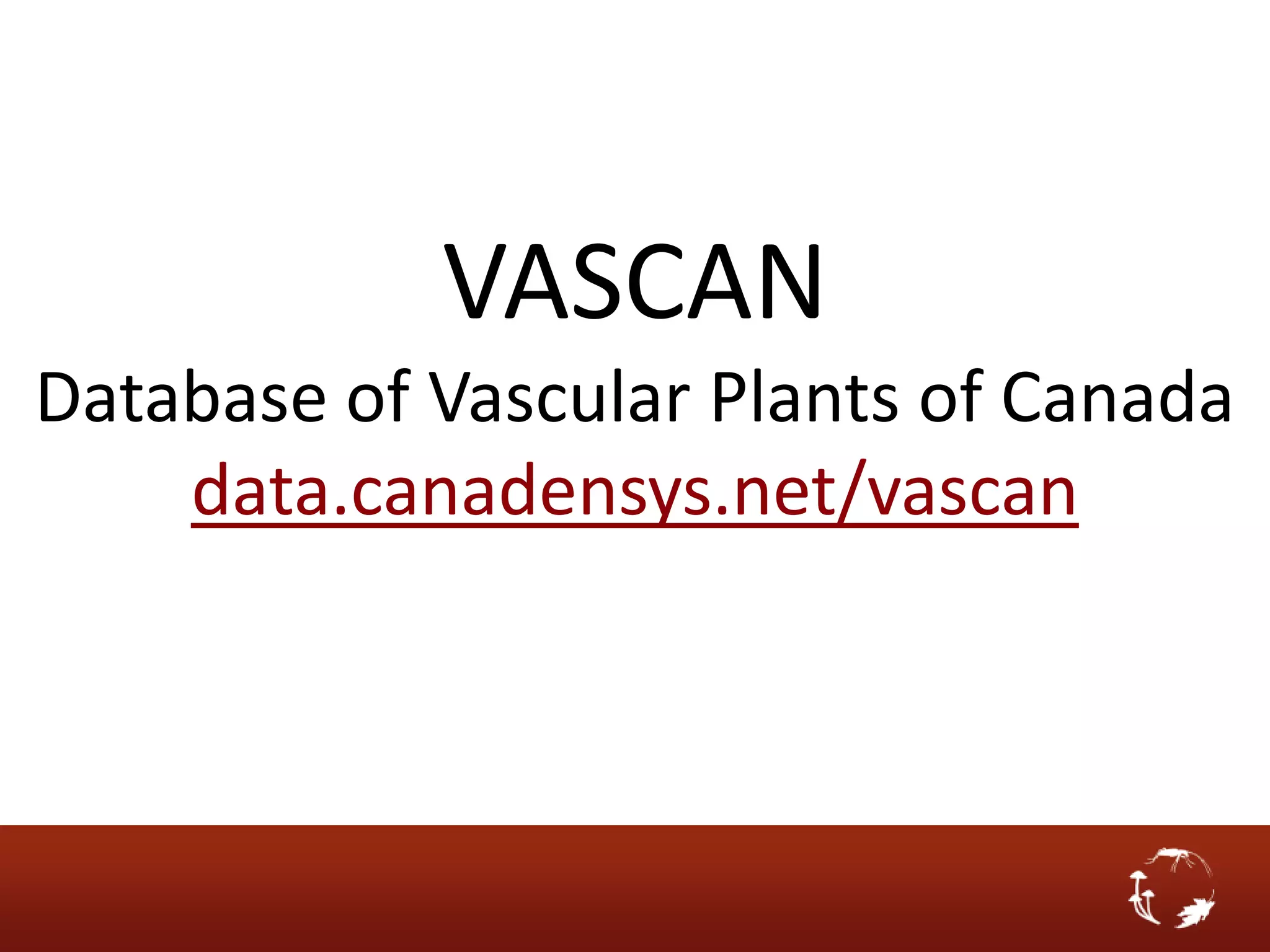 VASCAN
Database of Vascular Plants of Canada
    data.canadensys.net/vascan
 