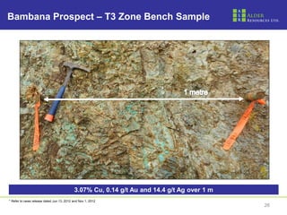 Bambana Prospect – T3 Zone Bench Sample




                                           3.07% Cu, 0.14 g/t Au and 14.4 g/t Ag over 1 m
* Refer to news release dated Jun 13, 2012 and Nov 1, 2012
                                                                                            26
 