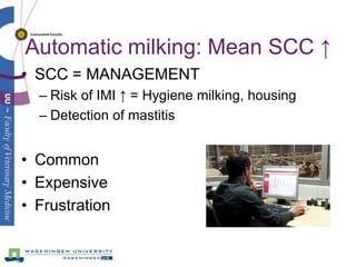 Automatic milking: Mean SCC ↑
• SCC = MANAGEMENT
  – Risk of IMI ↑ = Hygiene milking, housing
  – Detection of mastitis


...