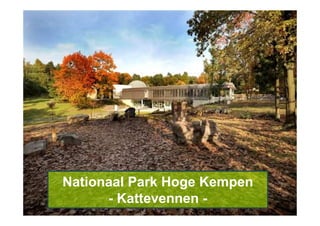 Nationaal Park Hoge Kempen
- Kattevennen -
 