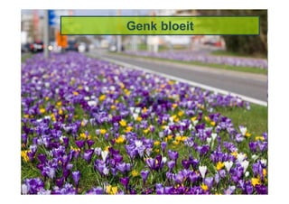 Genk bloeit
 
