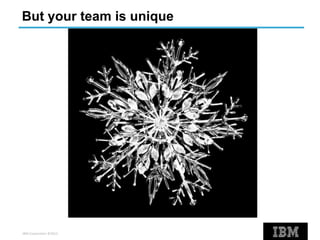 IBM Corporation ©2013
But your team is unique
 