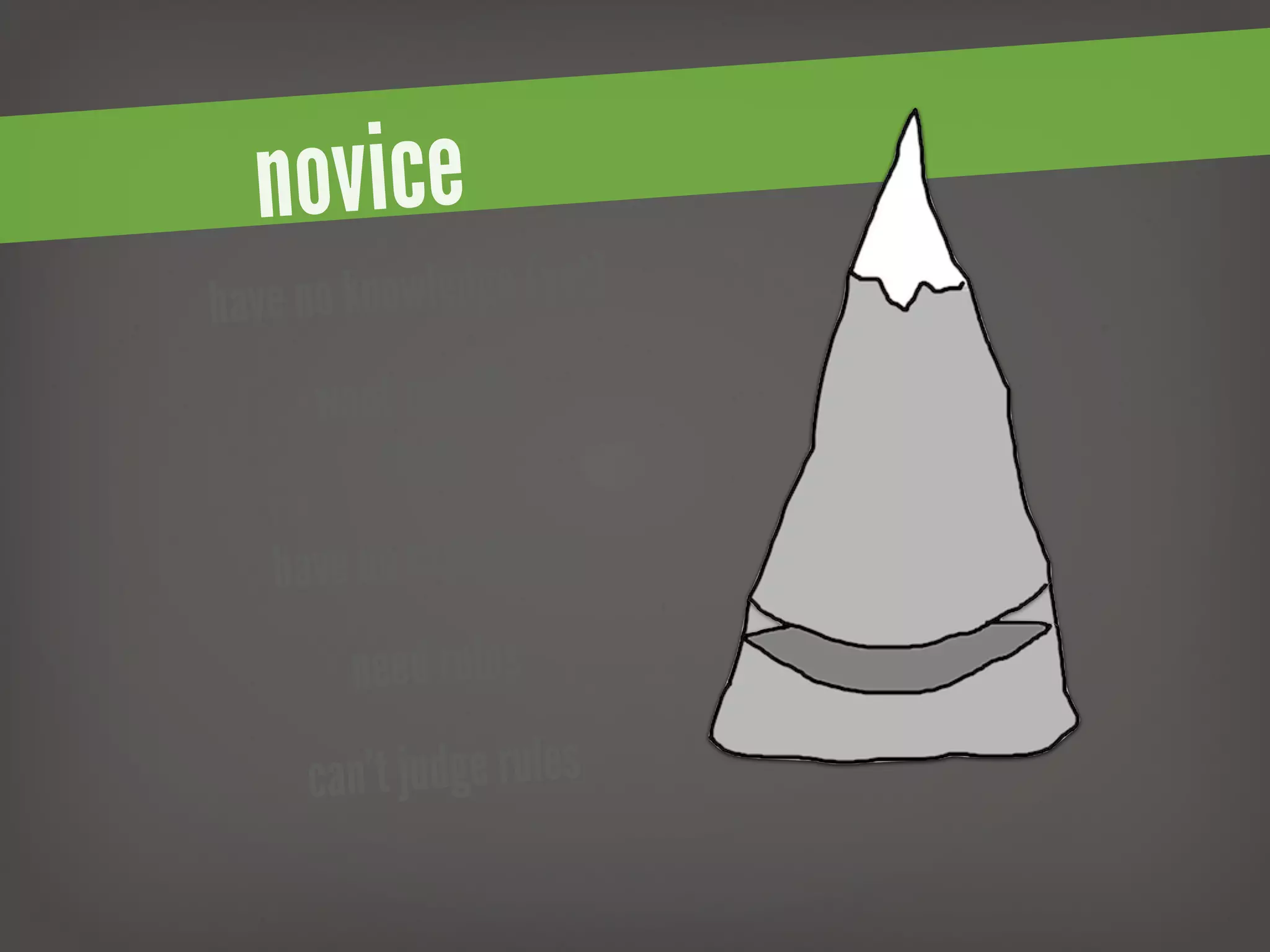 novice
have no k nowledge (yet)
      want results
          (fast)

   hav e no experience
        need rules
     can ’t judge rules
 