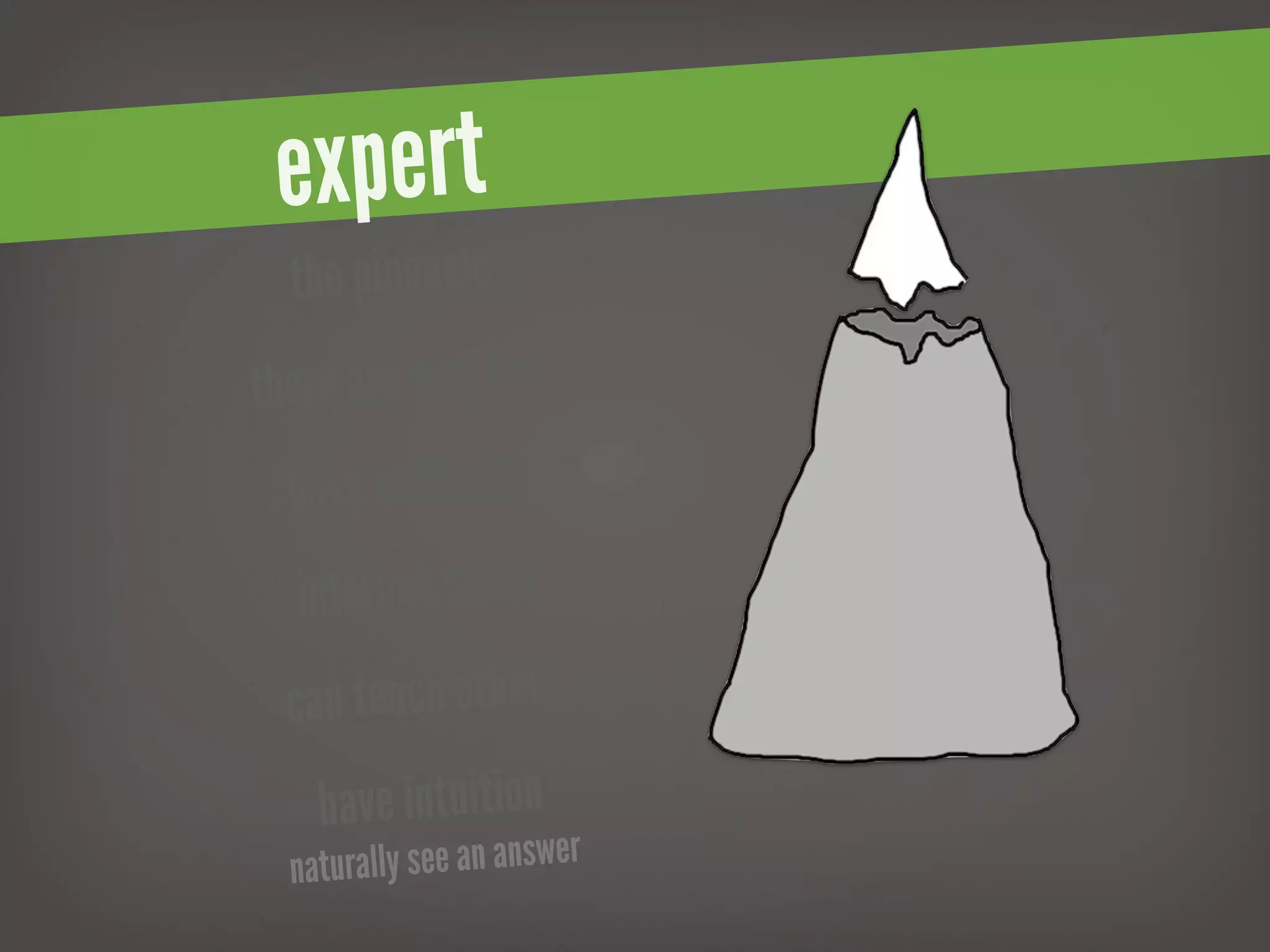expert
  the pinnacle
th ere are very few
   have authority
   interlink skills
  can  teach others
    have intuition
  natura lly see an answer
 