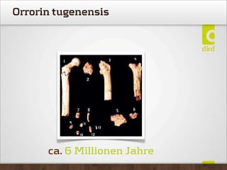 ca. 6 Millionen Jahre
Orrorin tugenensis
 
