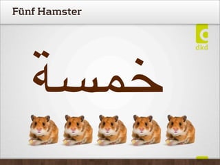 Fünf Hamster
 