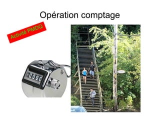 Opération comptage
Activité PMDQ
 