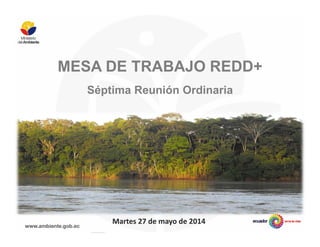 MESA DE TRABAJO REDD+
Séptima Reunión Ordinaria
Martes 27 de mayo de 2014
 