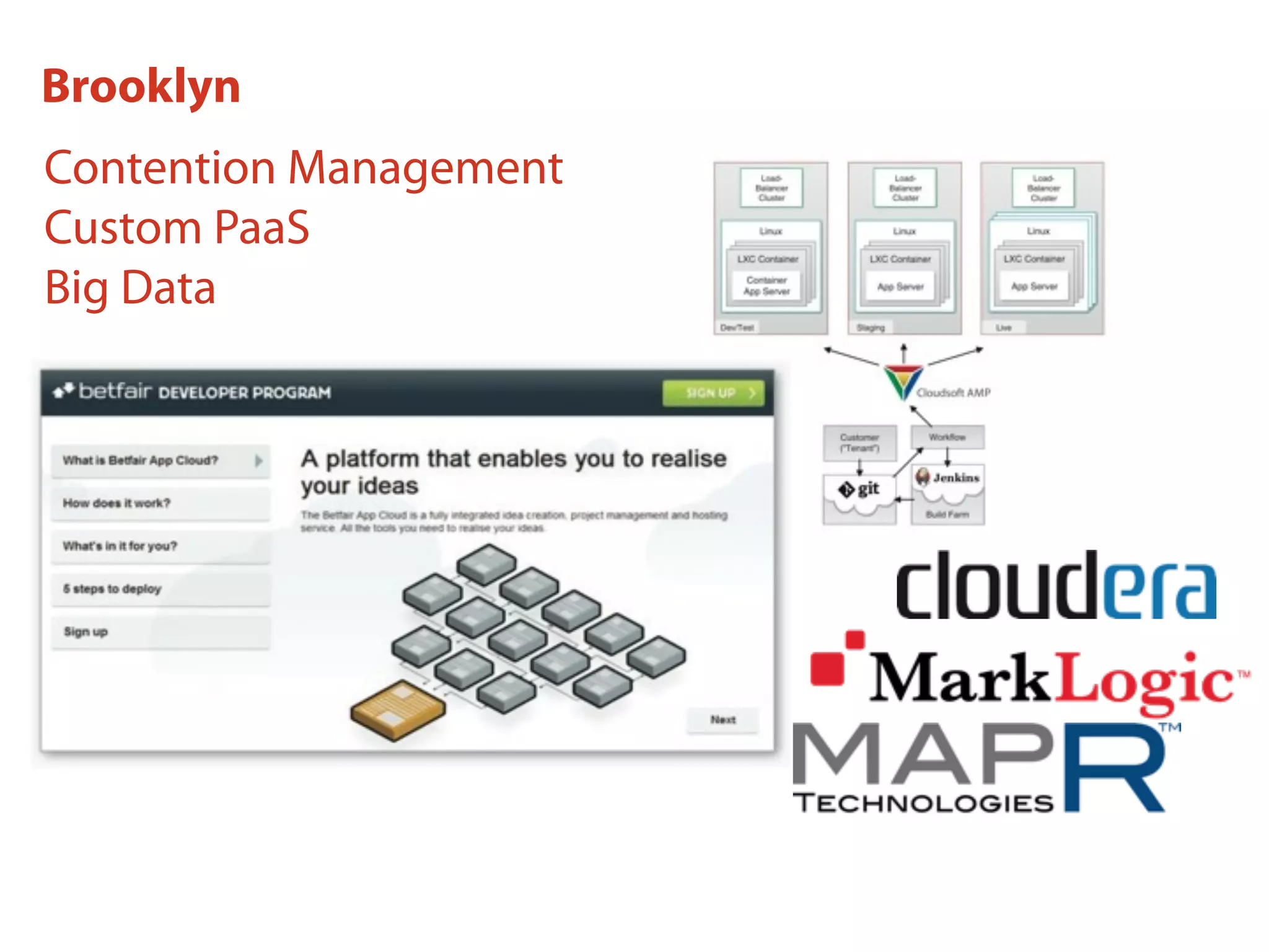 Brooklyn
Contention Management
Custom PaaS
Big Data
 