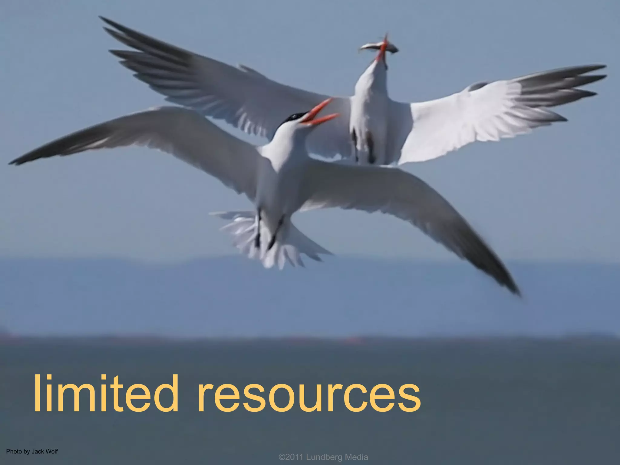 Photo by Jack Wolf
limited resources
©2011 Lundberg Media
 