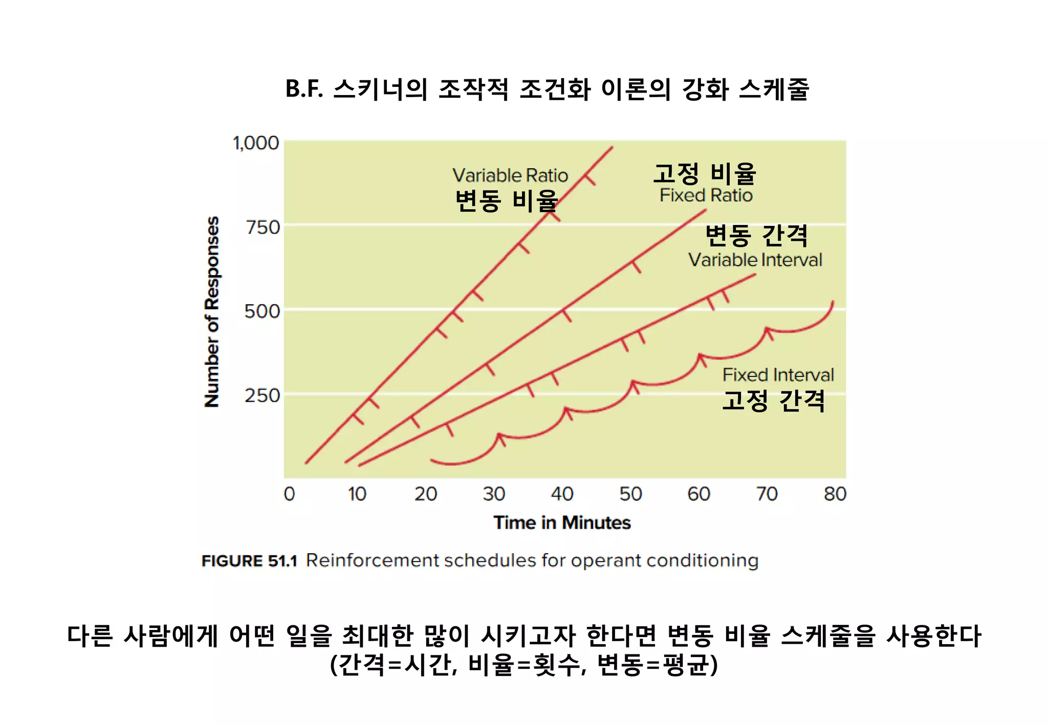 다른 사람에게 어떤 일을 최대한 많이 시키고자 한다면 변동 비율 스케줄을 사용한다
(간격=시간, 비율=횟수, 변동=평균)
B.F. 스키너의 조작적 조건화 이론의 강화 스케줄
변동 비율
고정 비율
변동 간격
고정 간격
 
