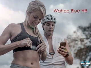 Wahoo Blue HR
 