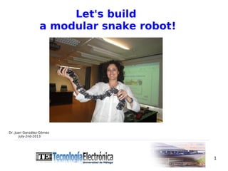 Let's build
a modular snake robot!

Dr. Juan González-Gómez
July-2nd-2013

1

 