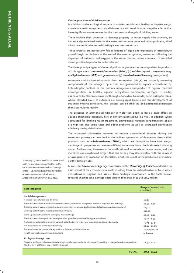 upstream thinking catchment management evidence review water quality jack in the box application print out form