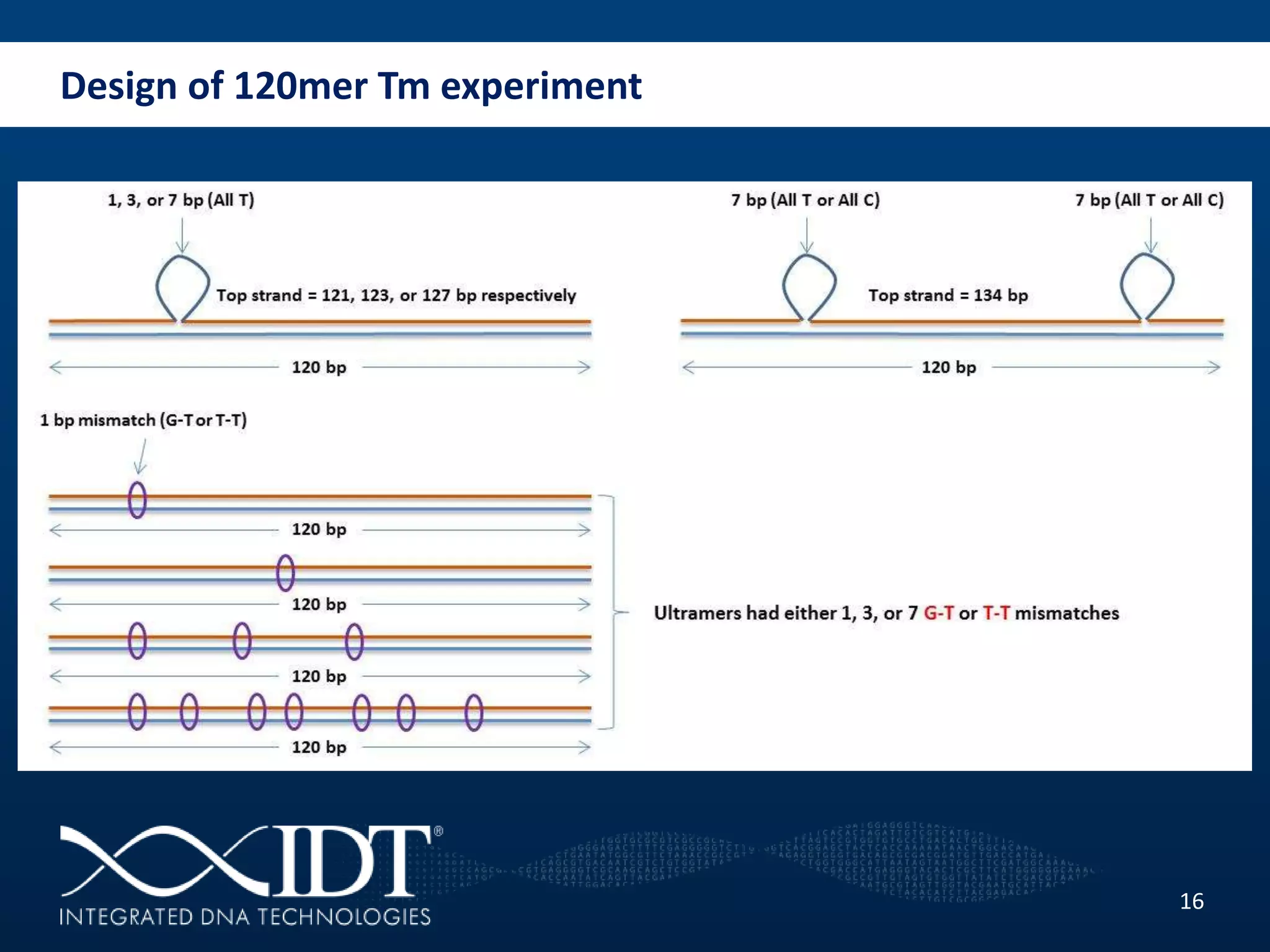 Design of 120mer Tm experiment
16
 