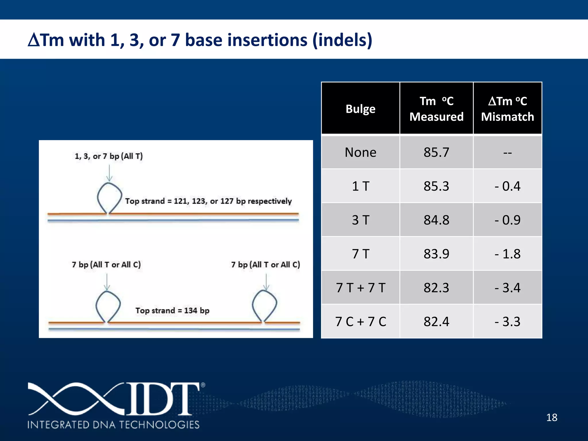 DTm with 1, 3, or 7 base insertions (indels)
18
Bulge
Tm oC
Measured
DTm oC
Mismatch
None 85.7 --
1 T 85.3 - 0.4
3 T 84.8 - 0.9
7 T 83.9 - 1.8
7 T + 7 T 82.3 - 3.4
7 C + 7 C 82.4 - 3.3
 